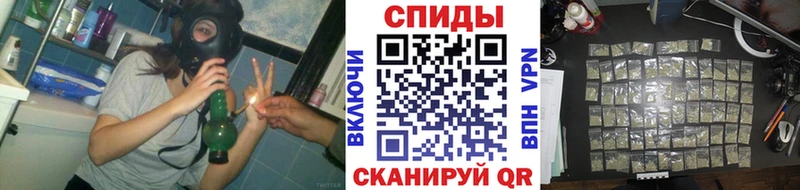 дарнет шоп  Данилов  Бутират буратино 