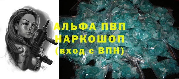 гашик Алзамай