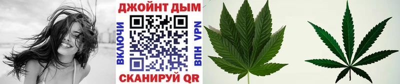 наркошоп  Данилов  Конопля план 